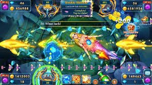 bijli casino